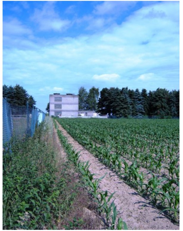 Photograph of the Wasserwerk Breyell treatment hall taken from the boundary of the property. A maize crop fills the foreground; a chain-link fence with blue mesh sections runs along the left side. The white treatment-hall building stands at the edge of the field with three windows visible on its facade and a treeline behind. The sky is partly cloudy. Photograph by Osman Can Kandemiroglu.